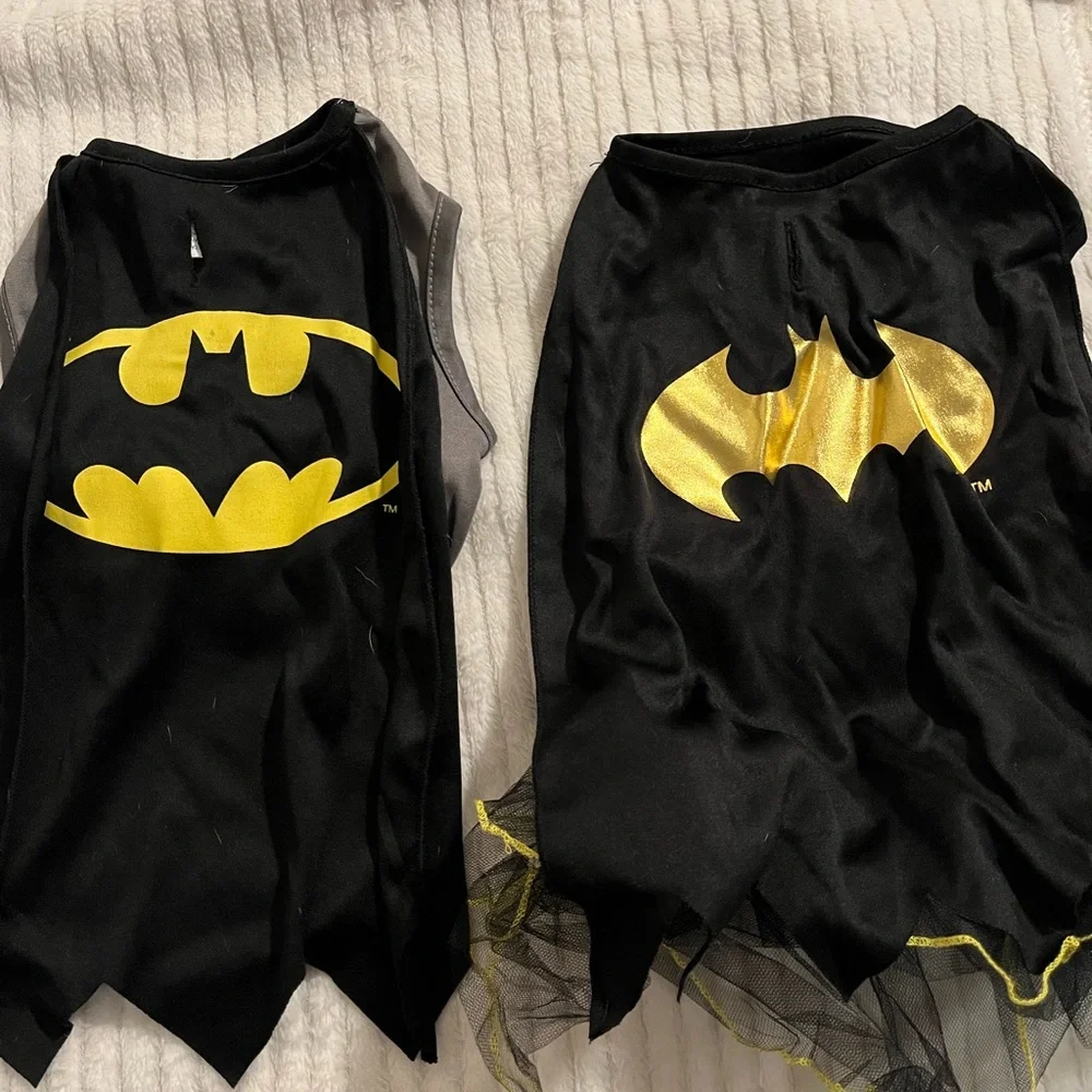 Small Doggie Halloween Batman and Robin Costume Set - Black, Gray, and Yellow